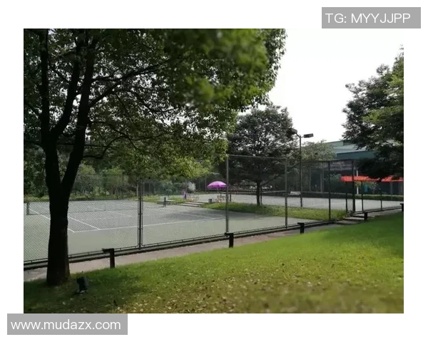 赛后复盘杭州网球队与成都网球队的战术意识与心理博弈分析