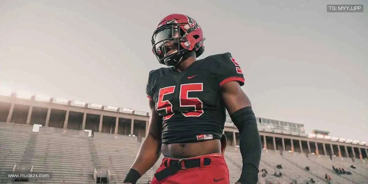 高清画质，身临其境的观赛体验🎥👀